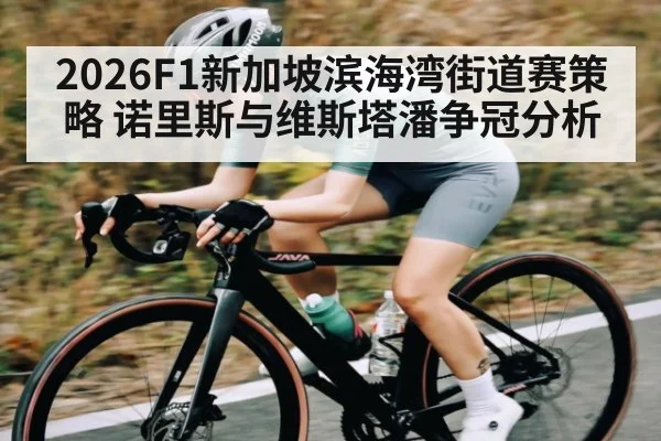 2026F1新加坡滨海湾街道赛策略 诺里斯与维斯塔潘争冠分析 | kaiyun
